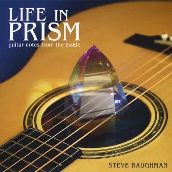 Life in Prism: Guitar Notes From the Inside by Steve Baughman