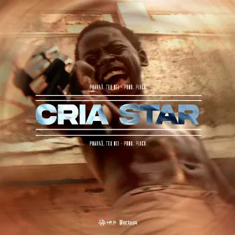 Cria Star by Pharaó, TeuRei