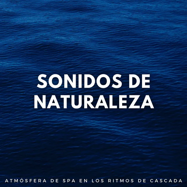 Sonidos De Naturaleza: Atmósfera De Spa En Los Ritmos De Cascada