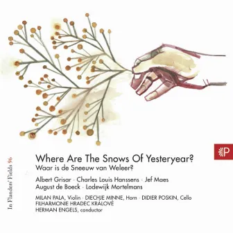 In Flanders' Fields, Vol. 96: Where Are the Snows of Yesterday? by Herman Engels