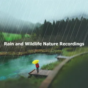 Rain and Wildlife Nature Recordings by The Puddle Recordings Project