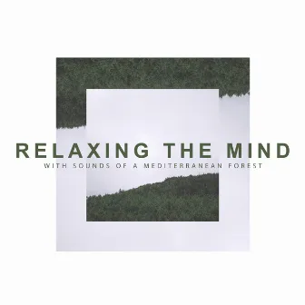 With Sounds Of A Mediterranean Forest by Relaxing The Mind