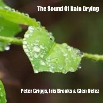 The Sound of Rain Drying by Glen Velez