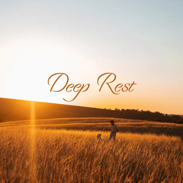 Deep Rest: Calm Visualization for Tranquility