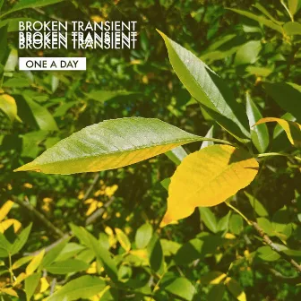 One a Day by Broken Transient