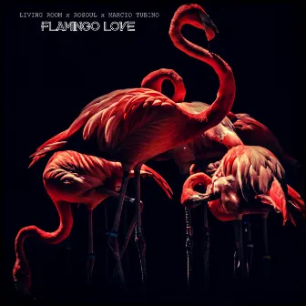 Flamingo Love by Márcio Tubino