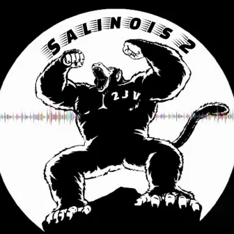 Salinois 2 by 2JV