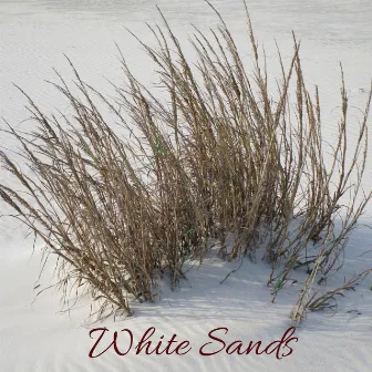 White Sands by Guevara Goo