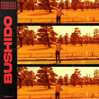 BUSHIDO by Ludolph