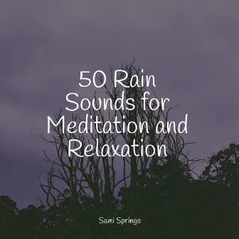 50 Rain Sounds for Meditation and Relaxation by Forest Soundscapes