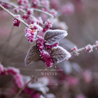 Winter by Arda Leen