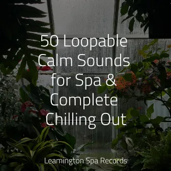 50 Loopable Calm Sounds for Spa & Complete Chilling Out by A Sudden Rainstorm