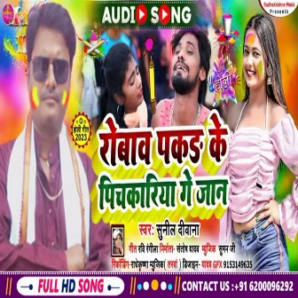 Robab Pakad Ke Pichakariya Ge Jaan (Bhojpuri) by Sunil Deewana