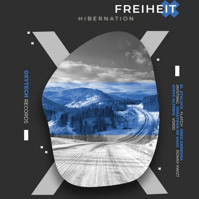 Hibernation - Flatch Remix