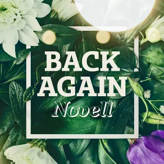 Back Again (Acoustic) by Novell