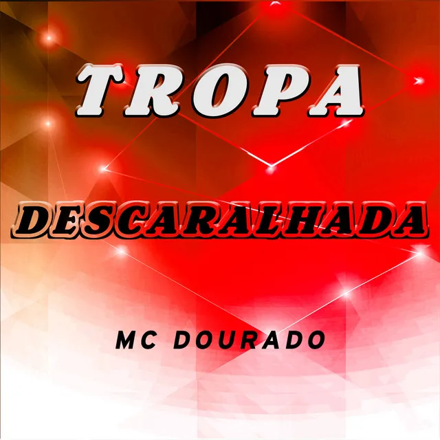 TROPA DESCARALHADA