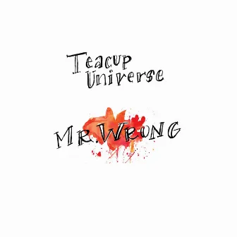 Mr. Wrong by Teacup Universe