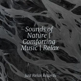 Sounds of Nature | Comforting Music | Relax by Ambient