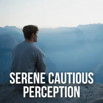 Serene Cautious Perception by Calming Sleep Music Academy