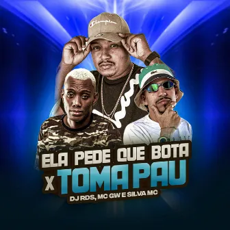 Ela Pede Que Bota X Toma Pau by DJ RDS