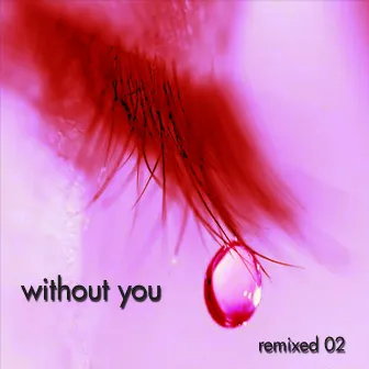 Without You: Remixed 02 by Look Brown