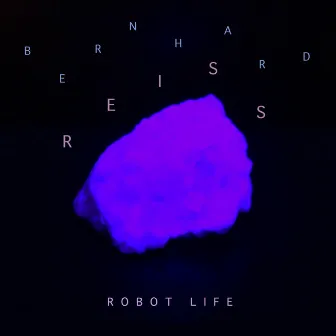 Robot Life by Bernhard Reiss