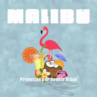 Malibu by Space Cass