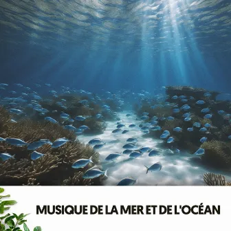 Sons de l'Océan et de la Mer : Mélodies sous les Vagues by 