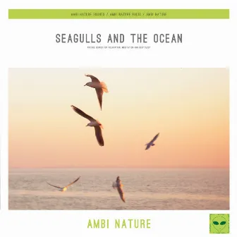 Seagulls and the Ocean (Nature Sounds for Relaxation, Meditation and Deep Sleep) by Ambi Nature Sounds