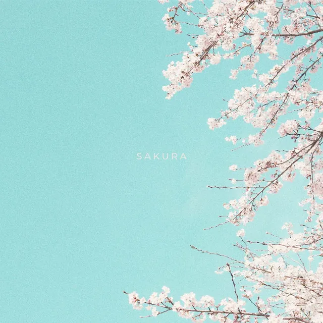 Sakura