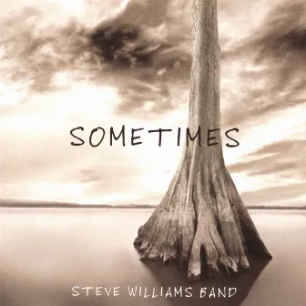 Sometimes by Steve Williams