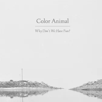 Why Don't We Have Fun? by Color Animal