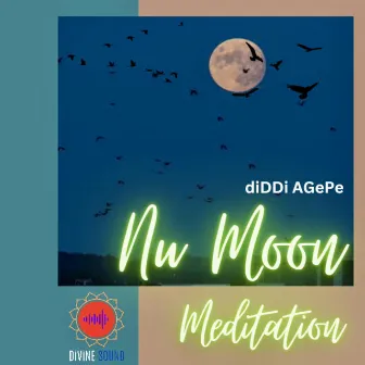 Nu MOON | MEDiTATiON MUSiC by diDDi AGePe