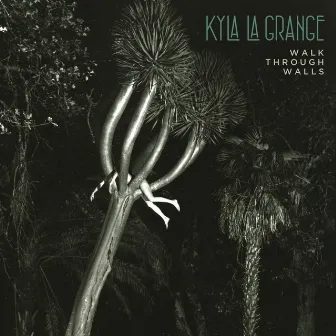 Walk Through Walls by Kyla La Grange