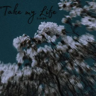 Take My Life by Simba Rex