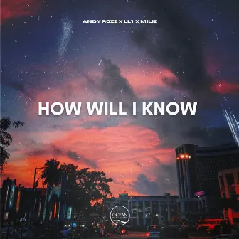 How Will I Know by Andy Rozz