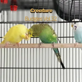 Budgies, Vol. 32 by Creature