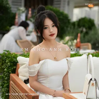 Em Nhớ Anh Rồi (Remix) by 