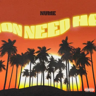 Ion Need Ha by Nvme