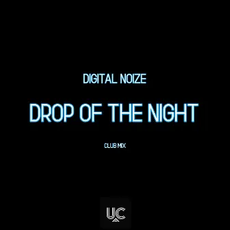 Drop Of The Night (Club Mix) by Digital Noize