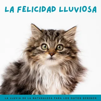 La Felicidad Lluviosa: La Lluvia De La Naturaleza Para Los Gatos Serenos by Juegos Lofi