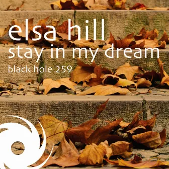 Stay In My Dream by Elsa Hill