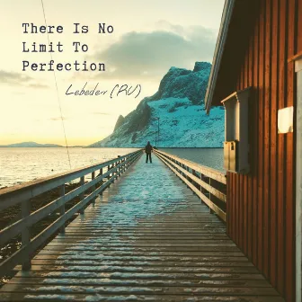 Lebedev (RU) - There Is No Limit To Perfection LP by Lebedev (RU)