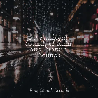 50 Ambient Sounds of Rain and Nature Sounds by Unknown Artist