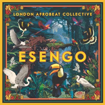 Esengo by London Afrobeat Collective