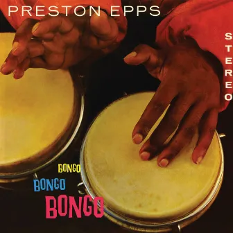 Bongo Bongo Bongo by Preston Epps