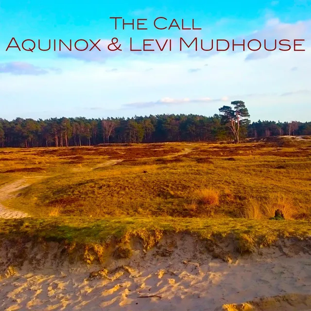 The Call (feat. Levi Mudhouse)