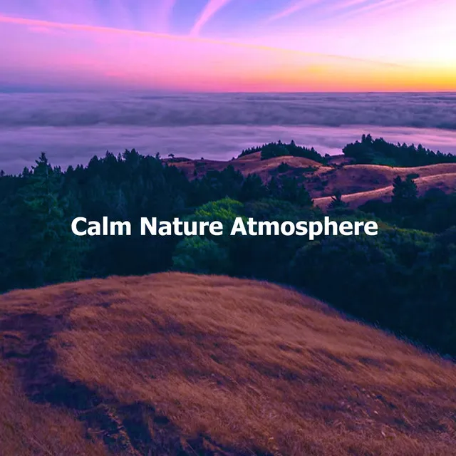 Calm Nature Atmosphere