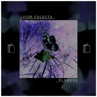 Flawers by Licor Colecta