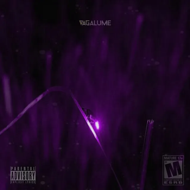 Vagalume